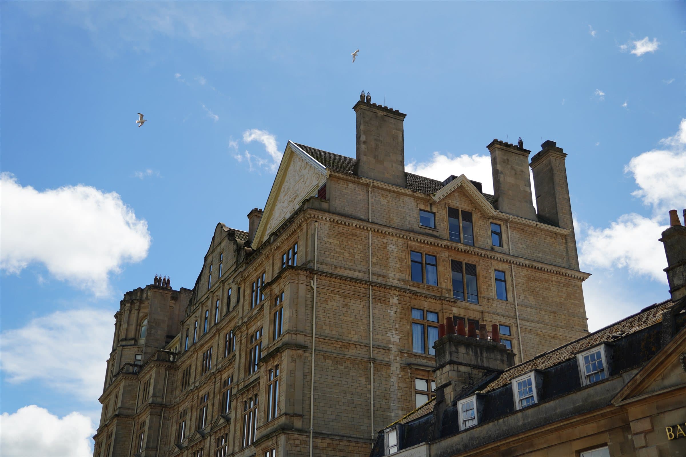 Gulls over a Bath rooftop