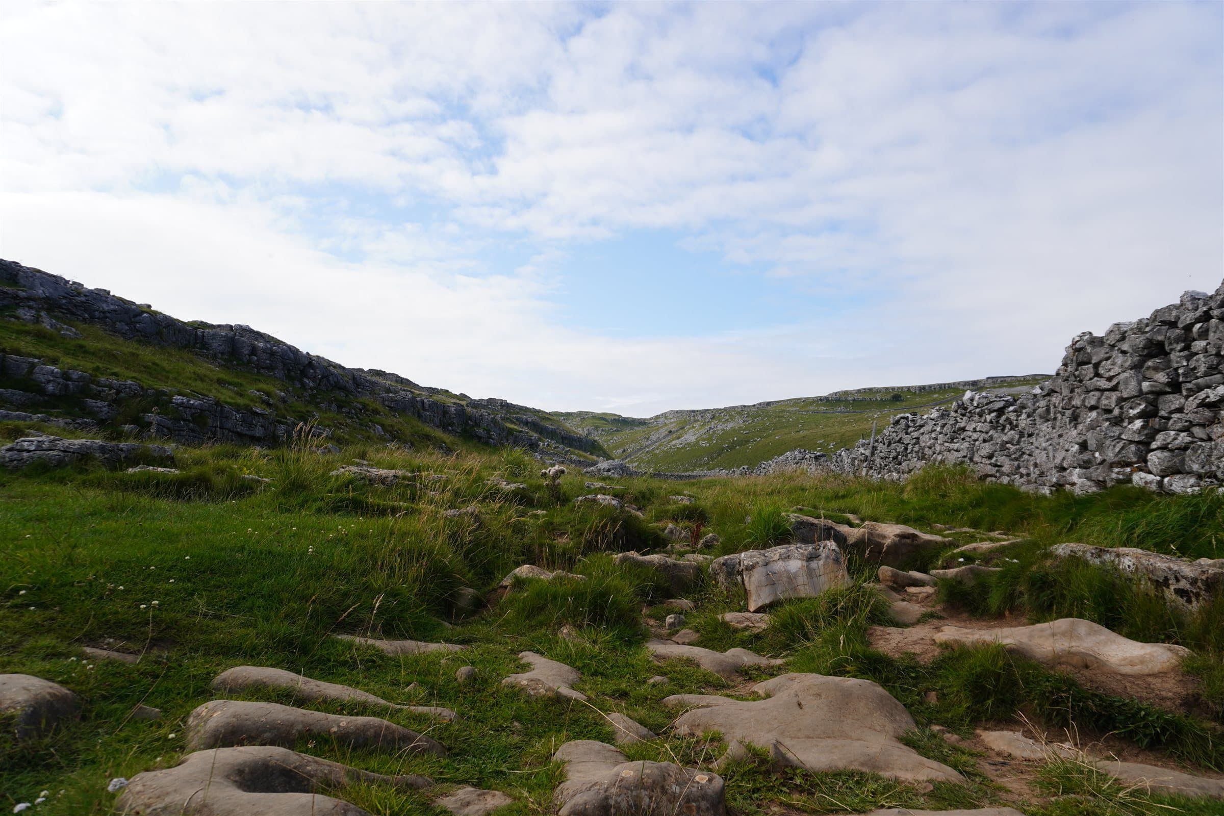 Limestone pavement valley