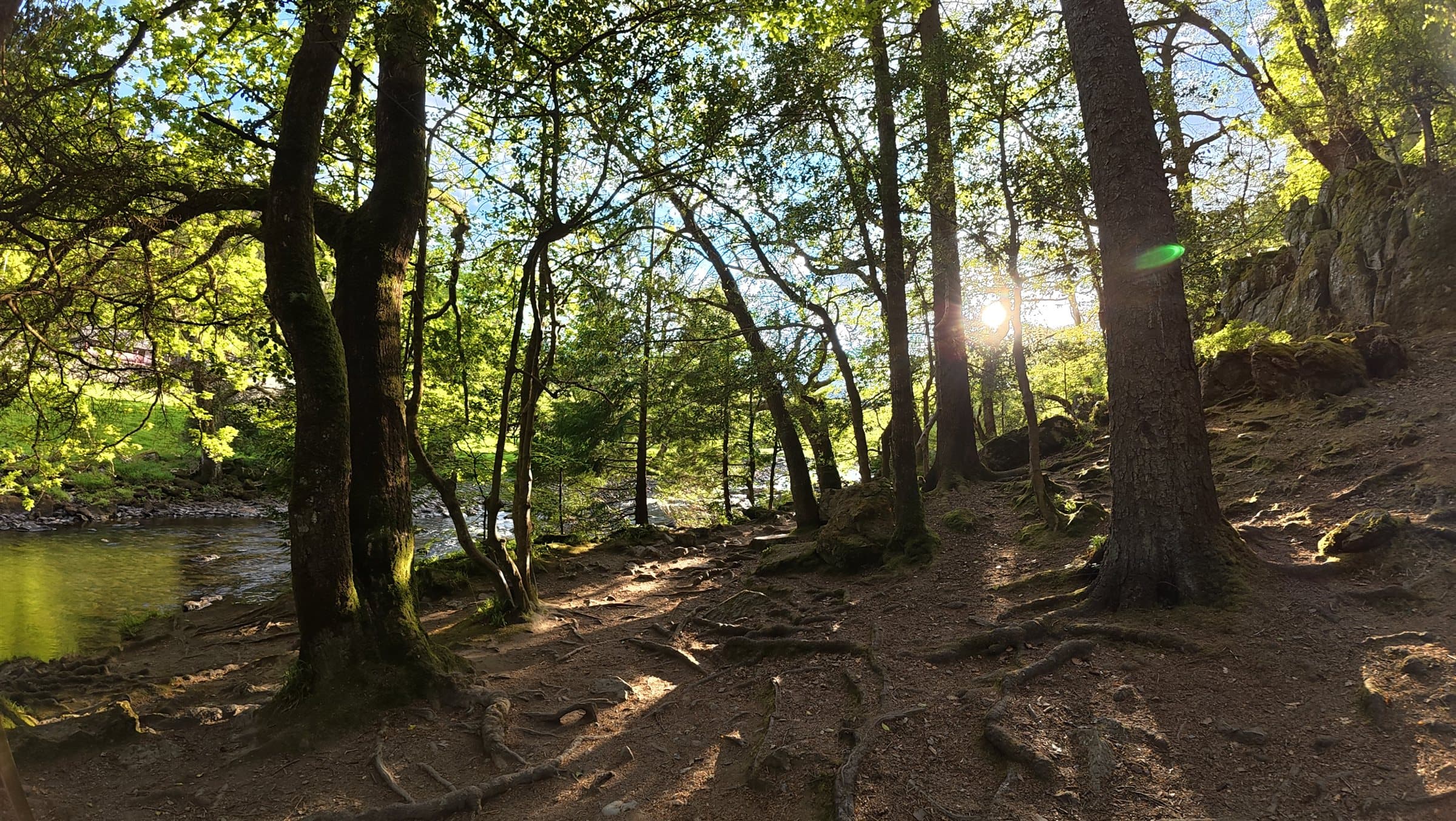 Woodland path along the river